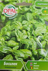 Seminte de BUSUIOC, folosit ca si condiment pentru mancaruri