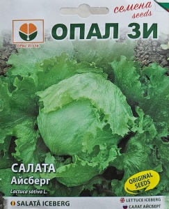 Seminte de SALATA ICEBERG, soi foarte productiv cu marime medie - 2gr