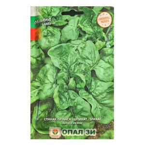 Seminte de spanac WINTER GIANT, soi rezistent iarna - 30 gr