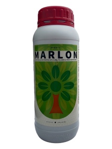 Aminoacizi concentrați - Absorbție Rapidă - Marlon