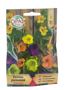 Seminte Plante Cataratoare – Mix de Flori Colorate, Decorativ - 2 gr