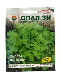 Seminte Salata FRUNZA DE STEJAR, ambalaj 2 grame/plic