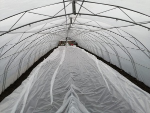 Solar Legume Profesional Regal Fermierul 8X36 metri