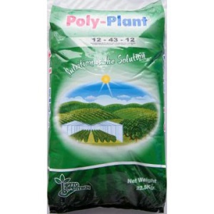POLY PLANT 12.43.12 +ME