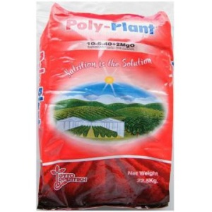 POLY PLANT 10.5.40 +ME