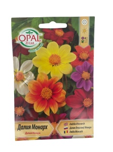 Seminte Dalia Monarch – Mix de Flori Colorate, Decor Gradina - 0.5 gr