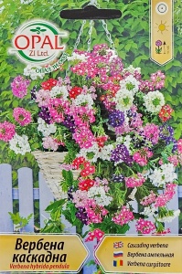 Seminte Verbena Curgatoare, planta care infloreste continuu - 0.4 gr
