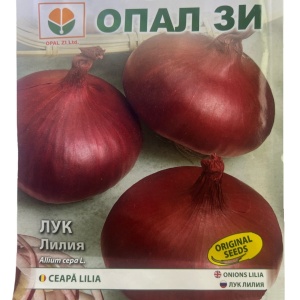 Seminte de Ceapa LILIA, soi de ceapa rosie foarte populara - 2g