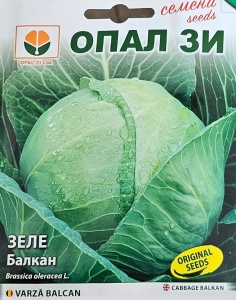 Seminte de VARZA BALCAN, soi pentru productie tarzie - 5 gr