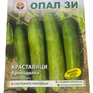 Seminte de Castraveti CROCODILE, soi cu randament ridicat - 1g