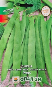 Seminte de Fasole de Gradina DJINA, inaltime de 40-45 cm 40g