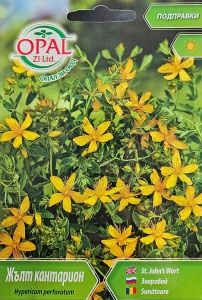 Seminte de SUNATOARE MEDICINALA, inaltime de aprox. 60 cm - 0.5 gr