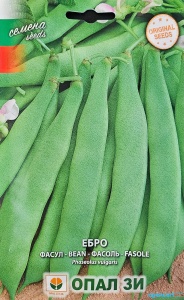 Seminte Fasole de Gradina EBRO, soi timpuriu productiv