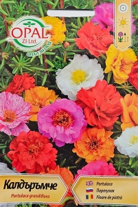 Seminte Floare de Piatra Mix pentru alpineume, cutii si ghivece 0.4g