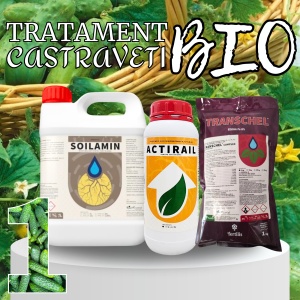 BIOPACK Stadiu 1 CASTRAVETI – Pregatirea Solului si Transplantare