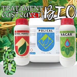 BIOPACK Stadiu 6 CASTRAVETI – Dimensiune, Culoare si Fortifiere