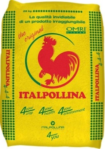 ITALPOLLINA