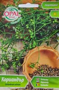 Seminte CORIANDRU, folosite ca un condiment pentru preparate - 5 gr