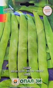Seminte de Fasole de Gradina LODI, cu boabe albe mari - 40gr