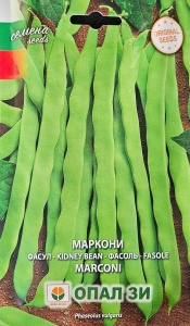 Seminte de Fasole de Gradina MARCONI, soi catarator 40g