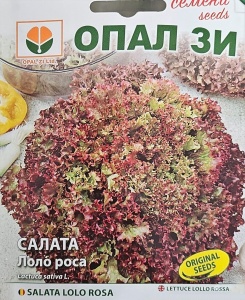 Seminte de SALATA LOLO ROSA, soi cu frunze rosii crete - 2g