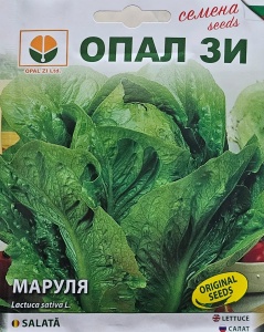 Seminte de Salata VALMAIN NEAGRA, rezistenta la temperaturi joase - 2g