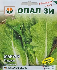 Seminte de SALATA VERDE PARIS, soi cu crestere rapida - 2g