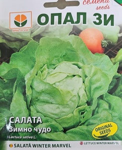 Seminte de Salata WINTER MARVEL, soi timpuriu si semitimpuriu