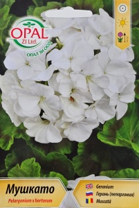 Seminte Muscata alba, pentru balcon, veranda si decorare - 0.1 gr