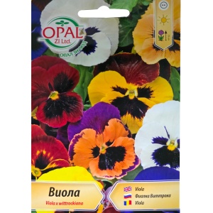 Seminte Viola x wittrockiana mix culori, Opal Zi - 0.2 gr
