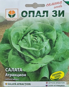 Seminte de Salata ATRACTION, capatana rotunda medie - 2g
