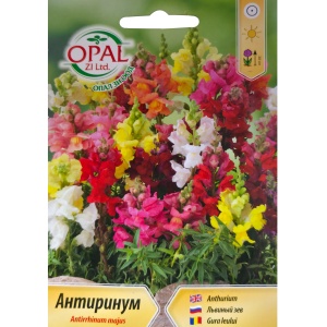 Seminte Gura leului Antirrhinum majus mix culori - 0.5 gr