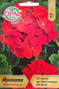 Seminte Muscata rosie, plantare in ghivece sau aer liber - 0.1 gr