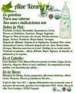 GELATINA ALOE VERA 95 %