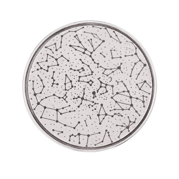 Moneda 3cm din Argint 925 pentru Botez - Wildflower & Constellation - Img 2