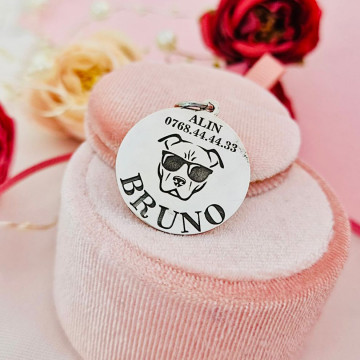 Banut personalizat din Argint 925 - 25mm - pentru zgarda caine de talie mare - Img 2