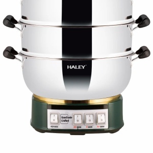 Vas Electric Multifuncțional HALEY HY-501, 2100W, Inox Premium cu Abur pe Două Nivele, Ideal pentru Gătit Sănătos Acasă sau la Hotel