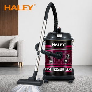 Aspirator Profesional HALEY HY-9924 AB, 5000W, 28L, Funcție Suflare