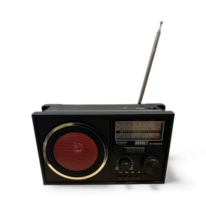 Radio ROVOLT cu Panou Solar - “Riamk”