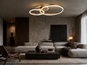 Plafonieră cu inele luminoase pentru iluminat interior