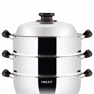 Vas Electric Multifuncțional HALEY HY-501, 2100W, Inox Premium cu Abur pe Două Nivele, Ideal pentru Gătit Sănătos Acasă sau la Hotel