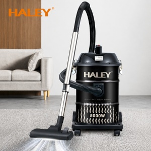 Aspirator Profesional HALEY HY-9925 CD, 5000W, 28L, Funcție Suflare