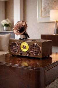 Radio retro NNS NS-802BT cu design vintage și difuzor tip gramofon, radio FM analogic cu finisaj metalic