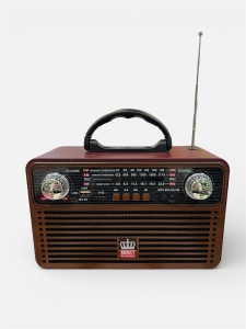 Radio ROVOLT Vintage - “Riyta”