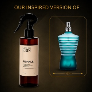 Parfum odorizant auto profesional L’Atelier Erin, aroma Le Male, 250 ml, inspirat din JPG Le Male