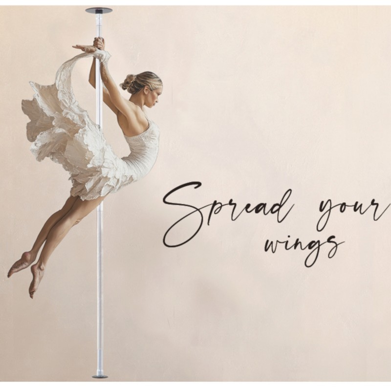 Italia pole dance shop, le attrezzature pole dance: qualità o risparmio ?