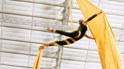 Dove compri prodotti per poledance ?