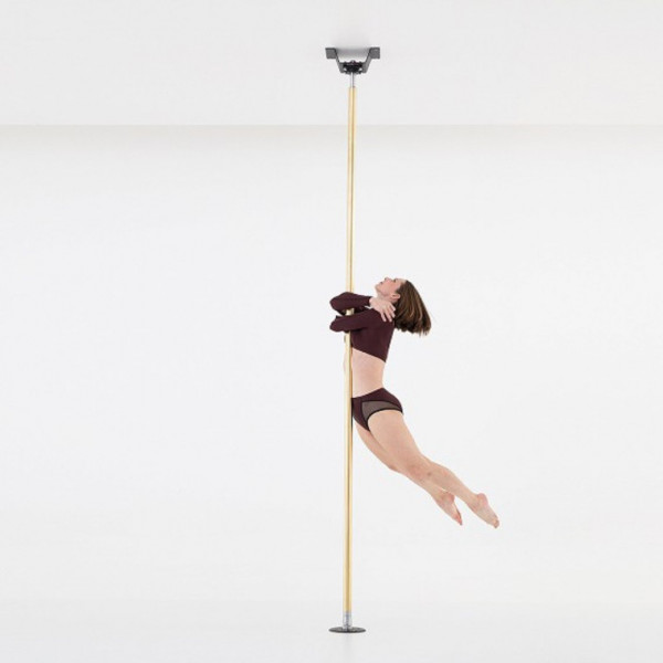 PALO LUPIT permanent studio champion pole, one piece, da 4,2 a 4,7 metri