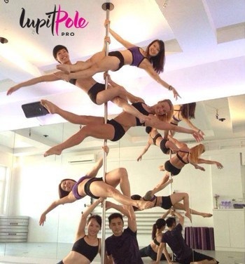 LUPIT POLE PRO G4 removable custom-made AVFAS™ pole up to 4.2m