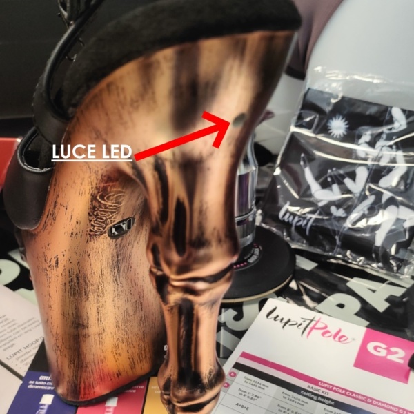 Pleaser Platform Shoes RAPT809-LT/BPU/BASCH - Img 6